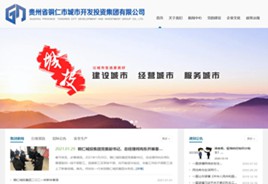 盘县城市开发投资集团有限公司